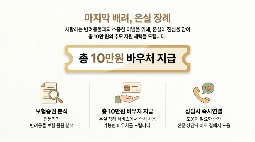 온실 장례 주요 지원 혜택 — 보험증권 분석, 총 10만원 바우처 지급, 상담사 즉시연결